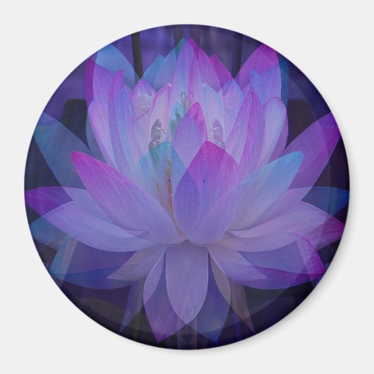 Lotus in Blau... Magnet (Vorne)