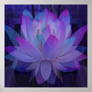 Lotus in Blau... Poster