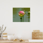 Lotus in Bloom Poster (Küche)