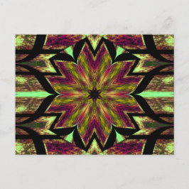 LOTUS IN GLOW 11 POSTKARTE