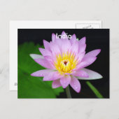 Lotus in Indien Postkarte (Vorne/Hinten)