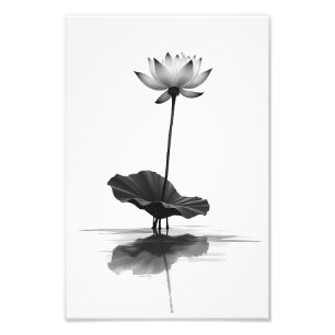 Lotus in Stille Fotodruck