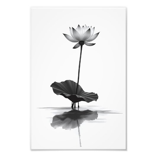 Lotus in Stille Fotodruck (Vorne)