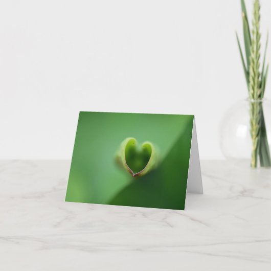 Lotus Jeden Anlaß Notecard Dankeskarte (Vorderseite)