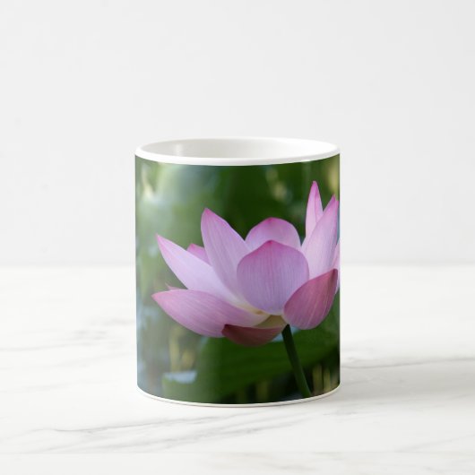 Lotus Kaffeetasse (Mittel)