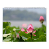 Lotus Kalender (Titelbild)