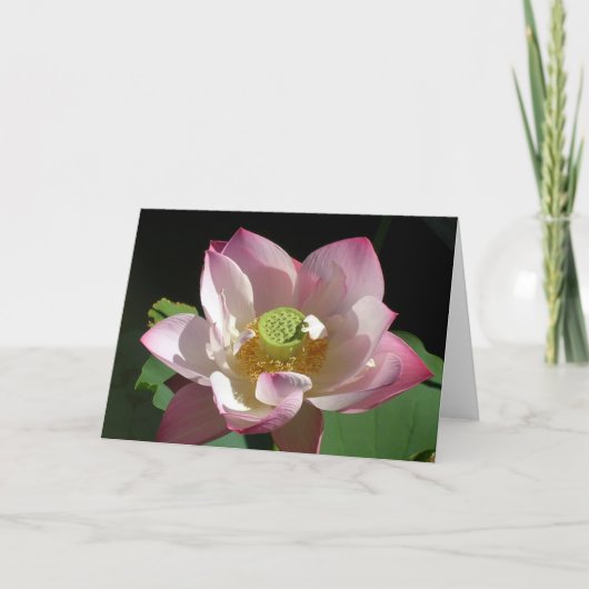 Lotus Karte (Vorderseite)