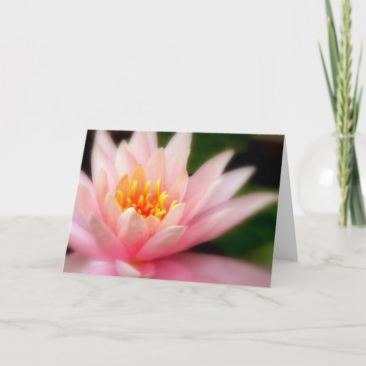 Lotus/Karte Karte (Vorderseite)