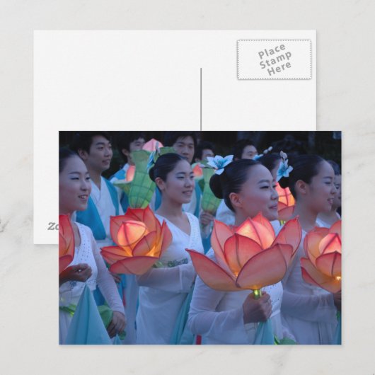 Lotus Lantern Postkarte (Vorne/Hinten)