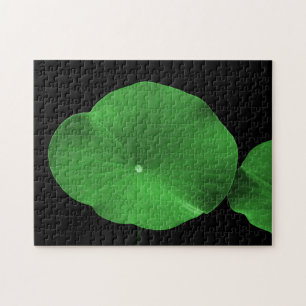Lotus Leaves Puzzle