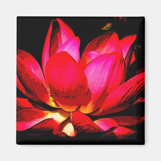 Lotus Magnet (Vorne)