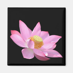 Lotus Magnet