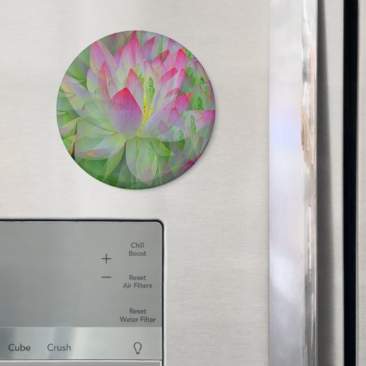 Lotus...... Magnet (In Situ (Kühlschrank))