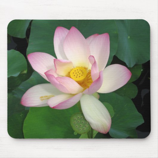 Lotus Mousepad (Vorne)