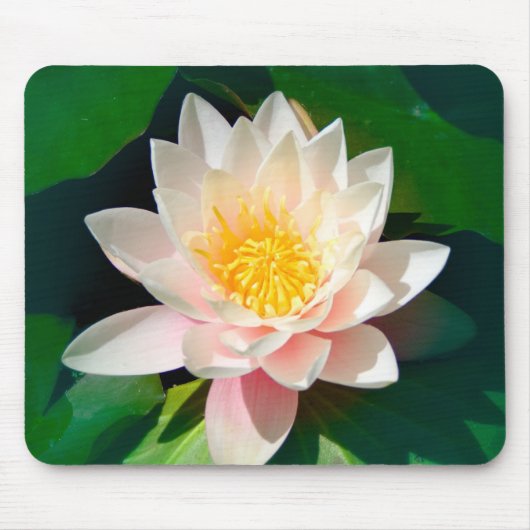Lotus Mousepad (Vorne)