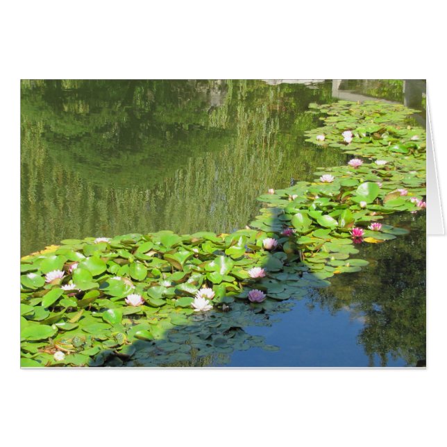 Lotus Path (Vorderseite (Horizontal))