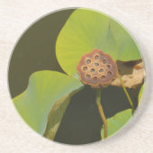 Lotus Pod und Lilly Pad Sandstein Untersetzer (Vorne)