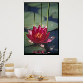 Lotus Poster (Küche)