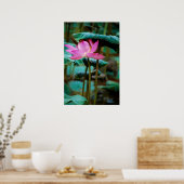 ...Lotus Poster (Küche)