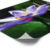 Lotus Poster (Ecke)