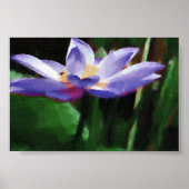 Lotus Poster (Vorne)