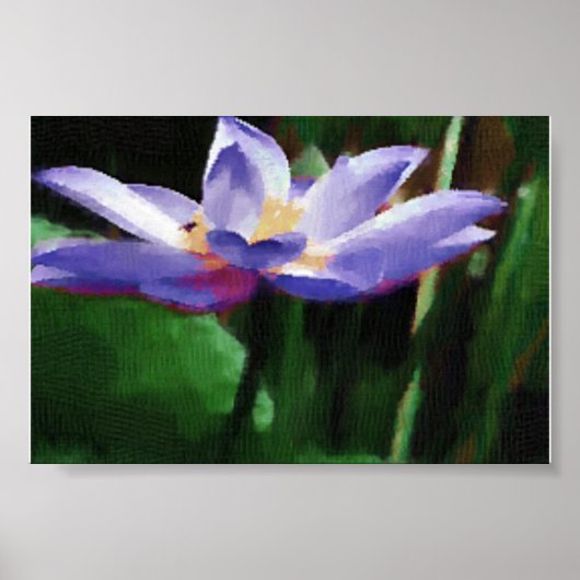 Lotus Poster (Vorne)