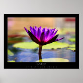 Lotus Poster (Vorne)