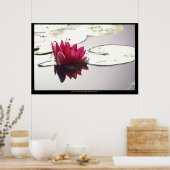Lotus Poster (Küche)