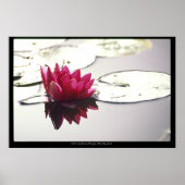 Lotus Poster (Vorne)
