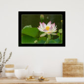 Lotus Poster (Küche)