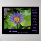 Lotus Poster mit Zitaten von Sai Baba (Vorne)