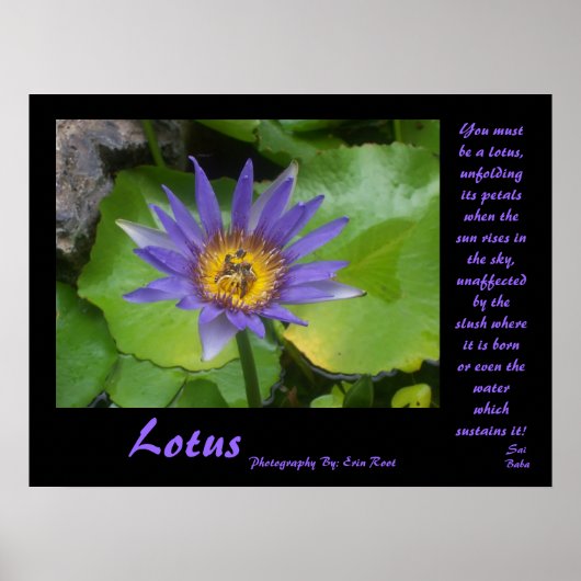 Lotus Poster mit Zitaten von Sai Baba (Vorne)