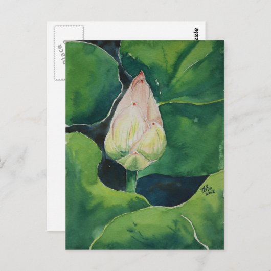 Lotus Postkarte (Vorne/Hinten)