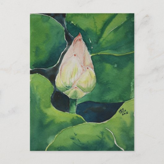 Lotus Postkarte (Vorderseite)