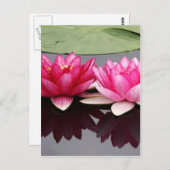 Lotus Postkarte (Vorne/Hinten)