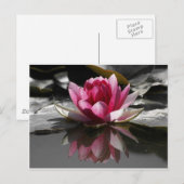 Lotus Postkarte (Vorne/Hinten)