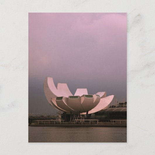 Lotus Postkarte (Vorderseite)