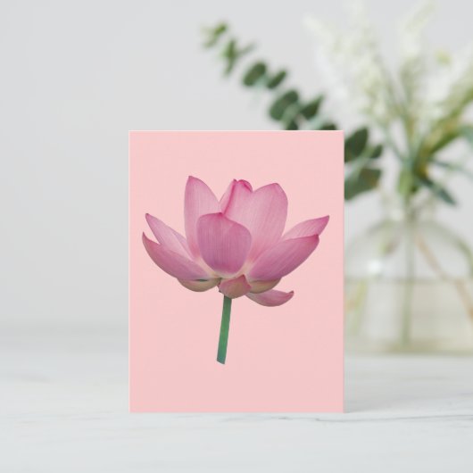 Lotus Postkarte (Stehend Vorderseite)