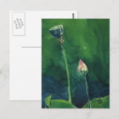 Lotus Postkarte (Vorne/Hinten)