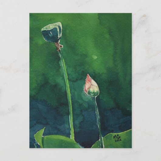 Lotus Postkarte (Vorderseite)