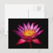 Lotus Postkarte (Vorne/Hinten)