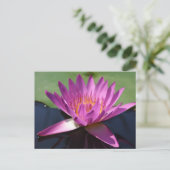 Lotus Postkarte (Stehend Vorderseite)