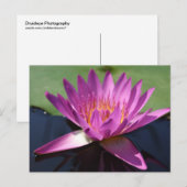 Lotus Postkarte (Vorne/Hinten)