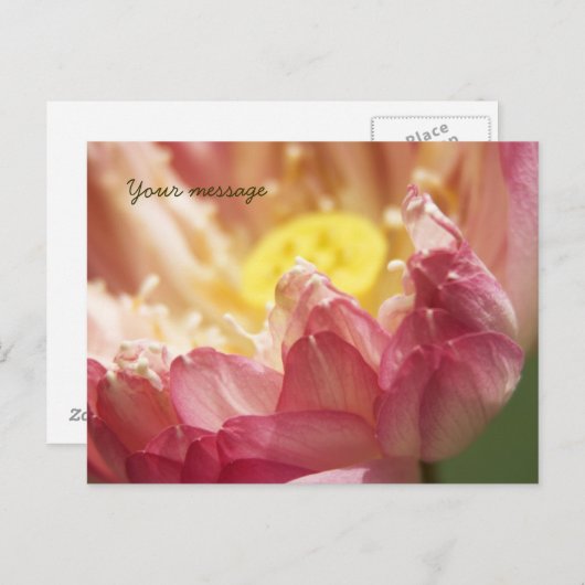 Lotus Postkarte (Vorne/Hinten)