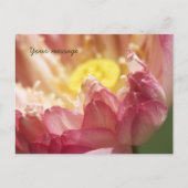 Lotus Postkarte (Vorderseite)