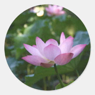 Lotus Runder Aufkleber
