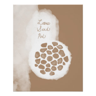 Lotus-Samenkapsel glänzendes Poster objet_11