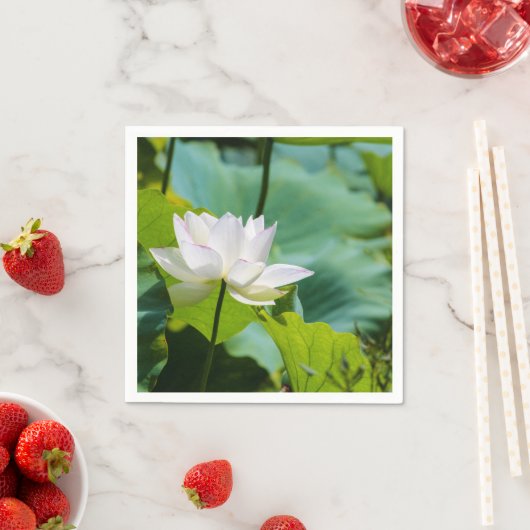 Lotus Serviette (Beispiel)