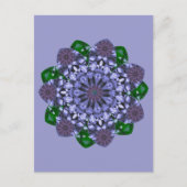 Lotus Star Postkarte (Vorderseite)