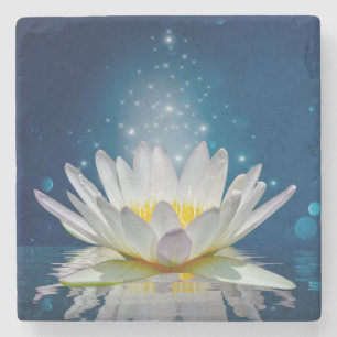 Lotus Steinuntersetzer